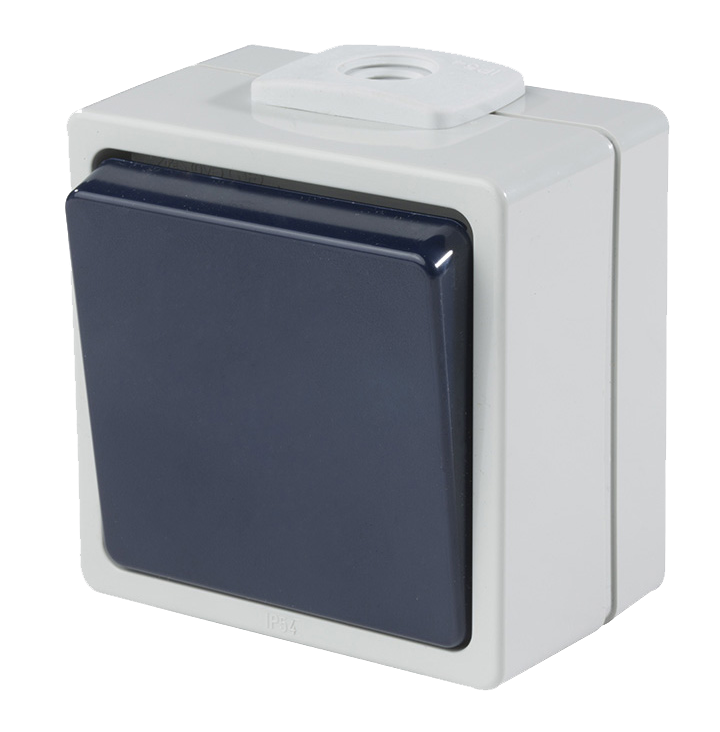 Schwabe Opbouwschakelaar 230V/10A IP54 Lichtgrijs/Staalgrijs tot 2.5mm² enkelpolig