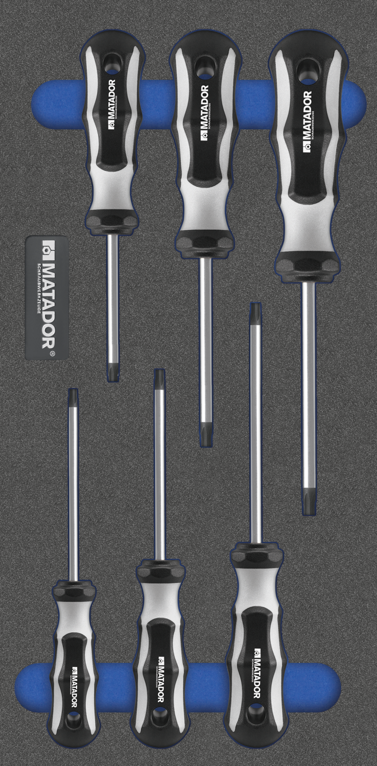 Matador MTS 1/3 Module TORX-Schroevendraaiers, 6-delig